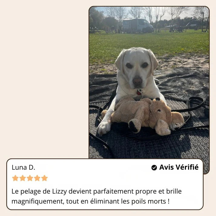 Brosse Vapeur Douce pour Chiens & Chats