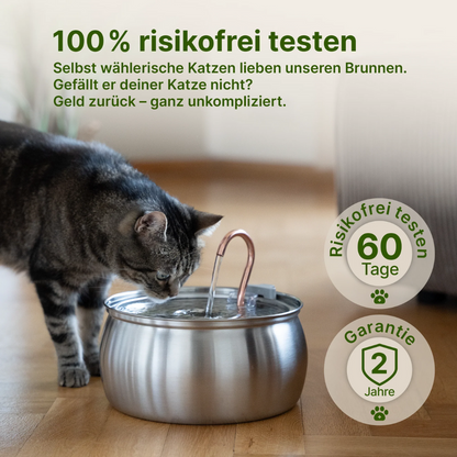 Edelstah-Katzenbrunnen