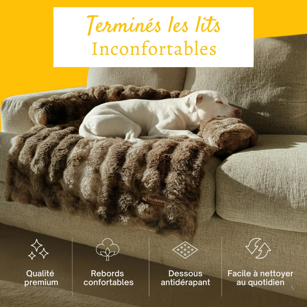 Canapé-lit doux et confortable pour chien