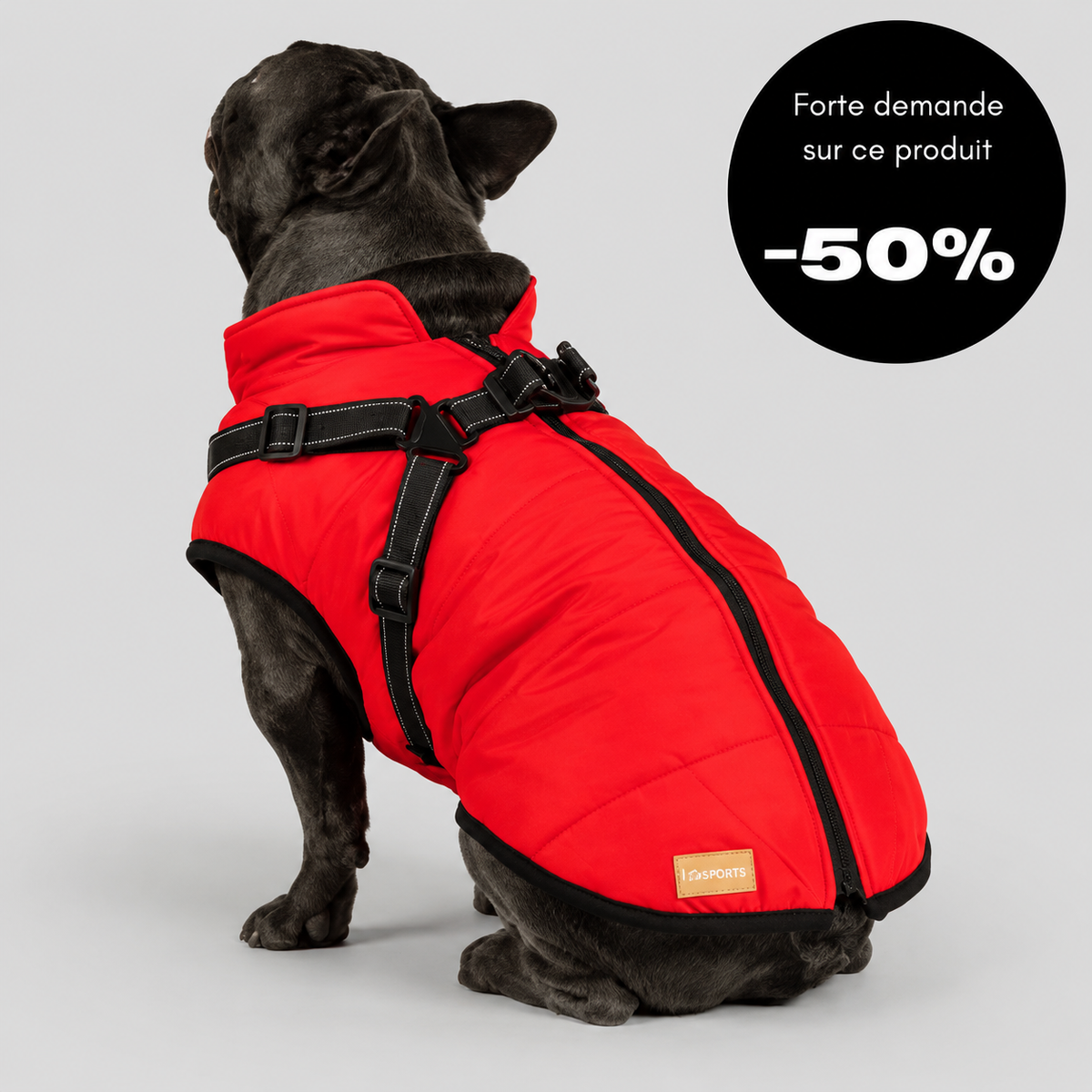 Veste d’hiver 2 en 1 pour chien