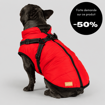 Veste d’hiver 2 en 1 pour chien