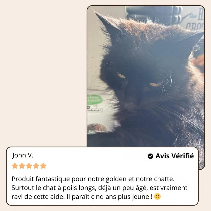 Brosse Vapeur Douce pour Chiens & Chats