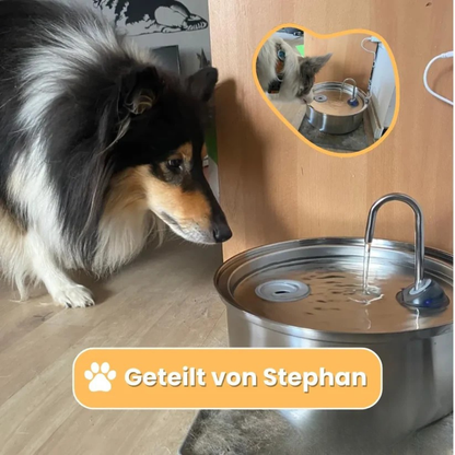 AquaFlow Fontaine à boire pour animaux