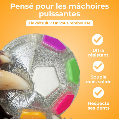Jouet Résistant pour Chiens