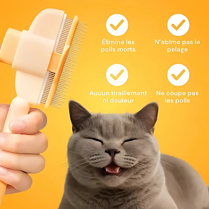 Brosse anti-poils pour animaux