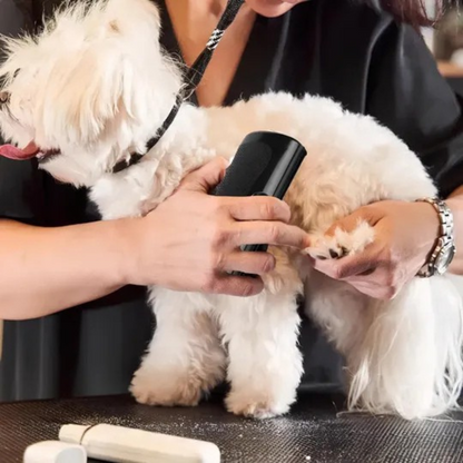 Selbstreinigende Bürste für Tiere
