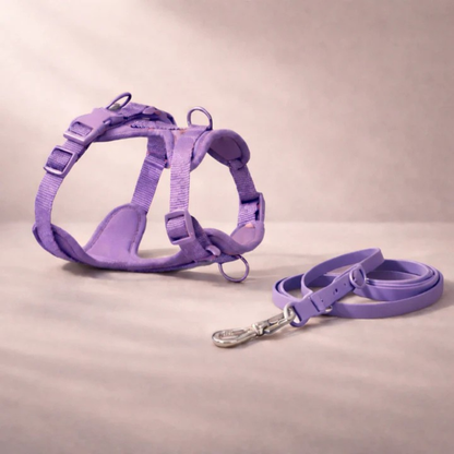 Harnais anti-traction avec laisse pour chien