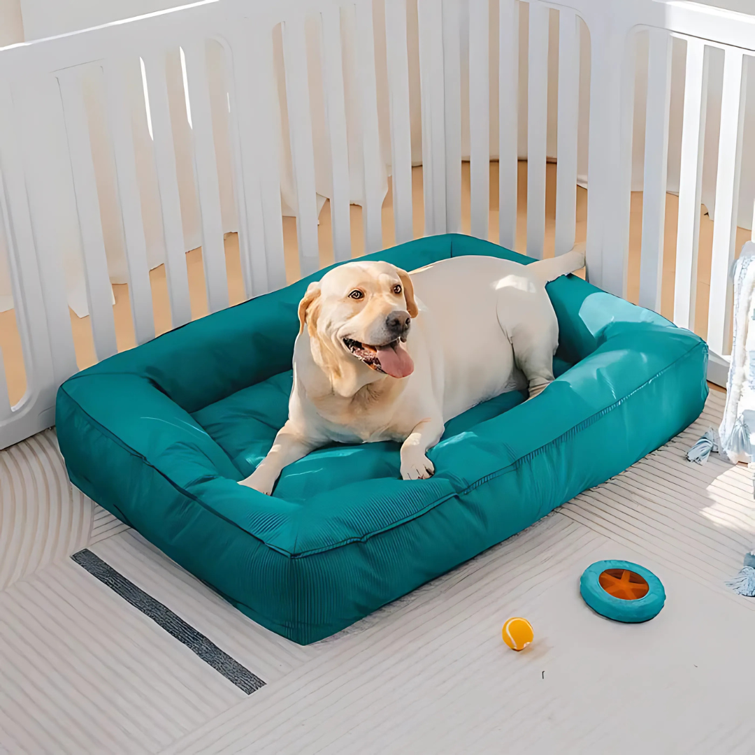 Lit Orthopédique pour Chien