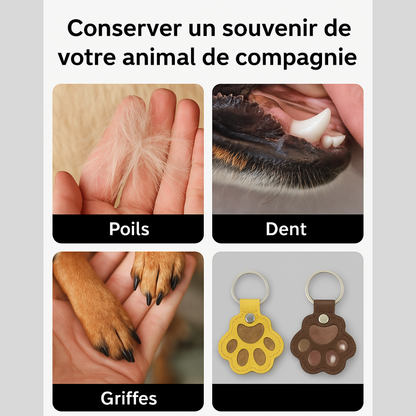 Schlüsselanhänger mit Tierabdruck als Souvenir