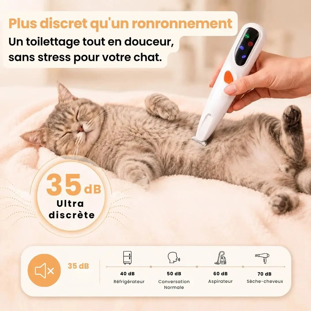 Präzisionsschermaschine für Katzen