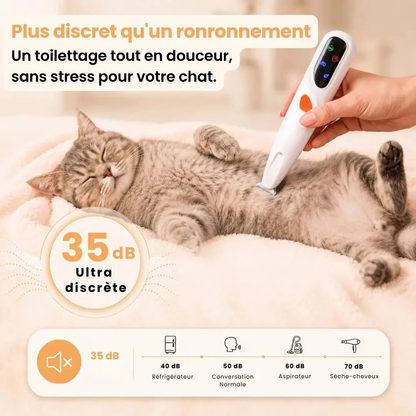 Präzisionsschermaschine für Katzen