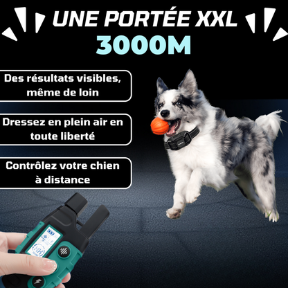 Langreichweitiges Trainingshalsband für Hunde
