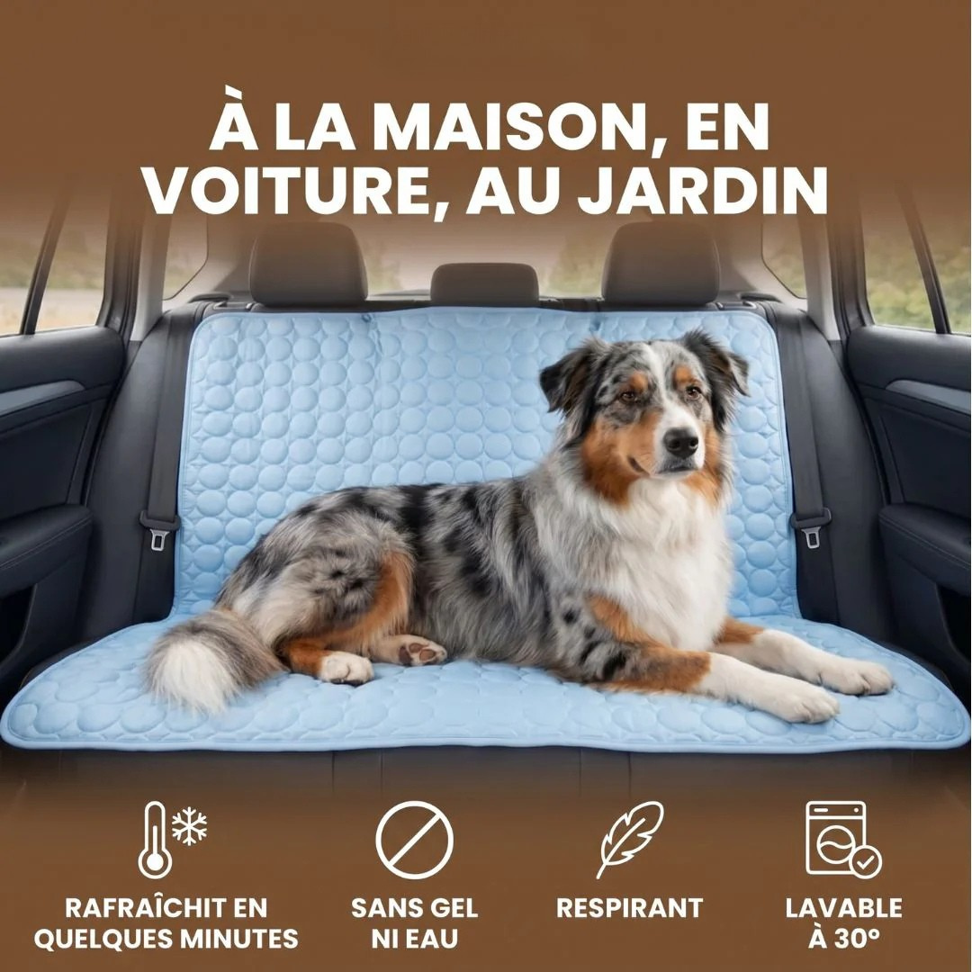 Kühlmatte für Hunde