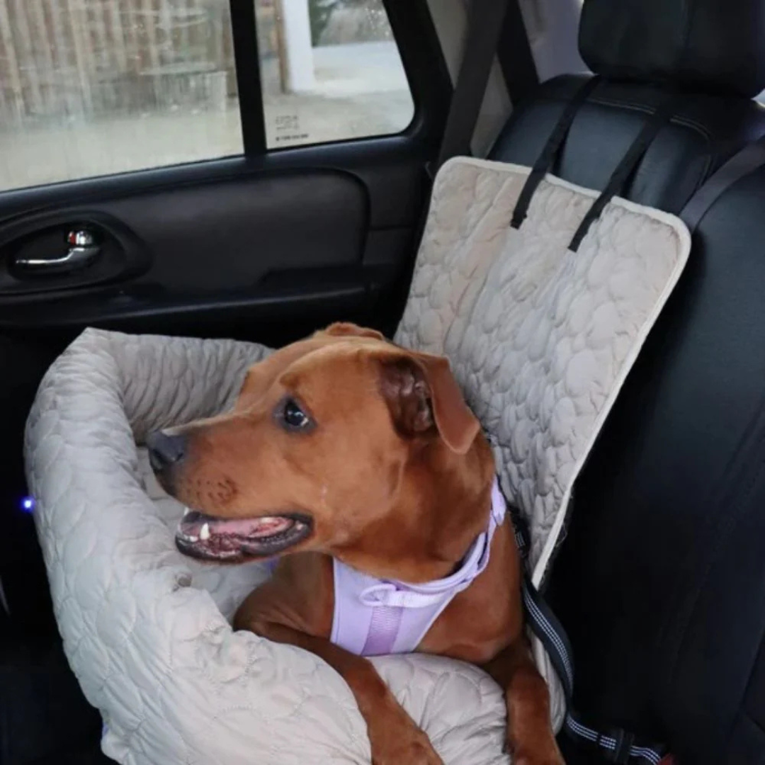 Kühlender Autositz für Hunde