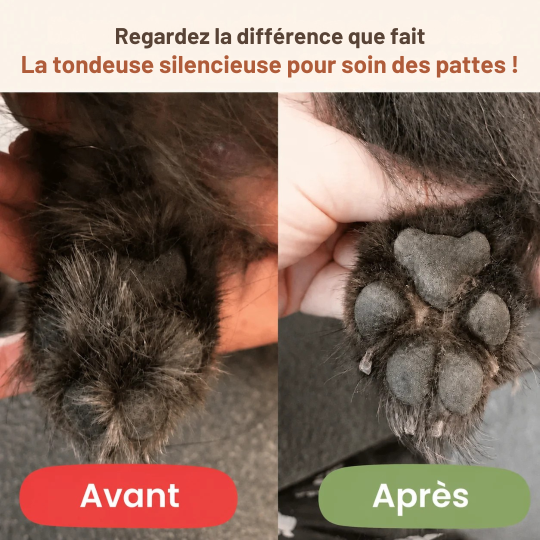 Tondeuse silencieuse pour soin des pattes