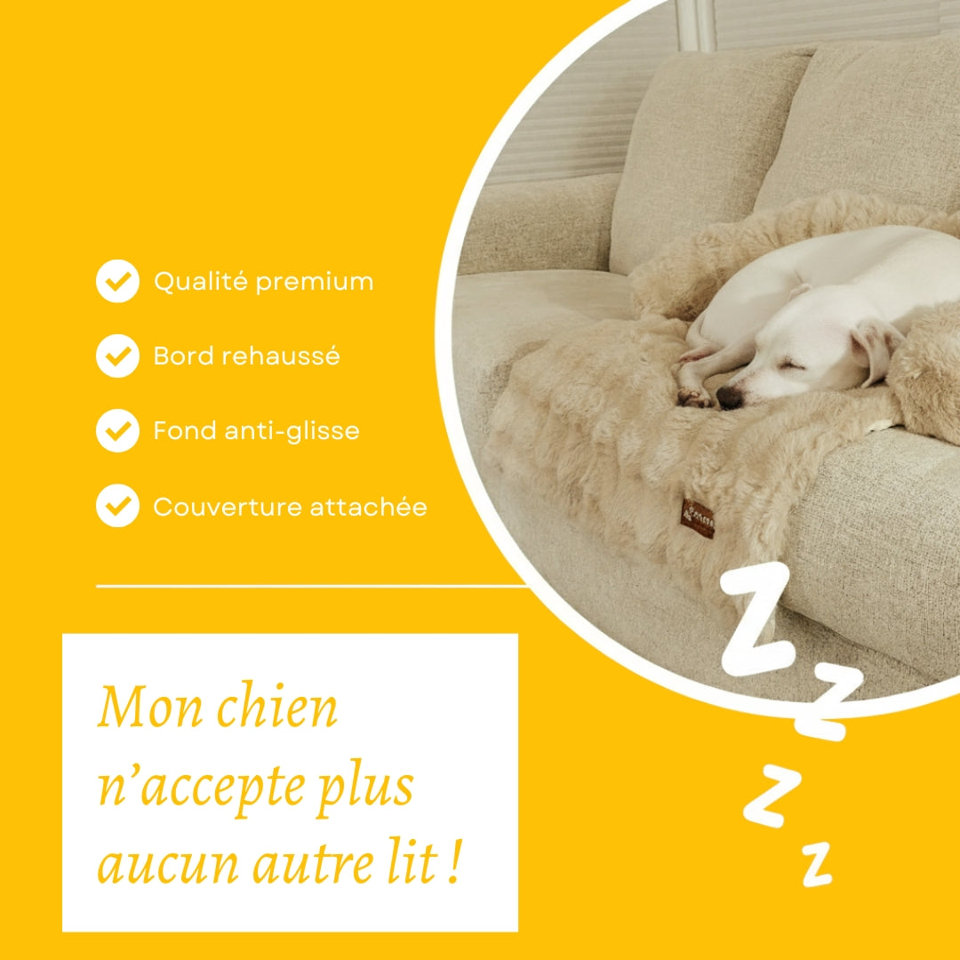 Canapé-lit doux et confortable pour chien