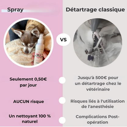 Spray dentaire naturel pour chien – Anti-tartre & haleine fraîche