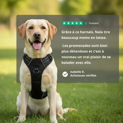 Komfortabler Anti-Zug-Gurt für Hunde