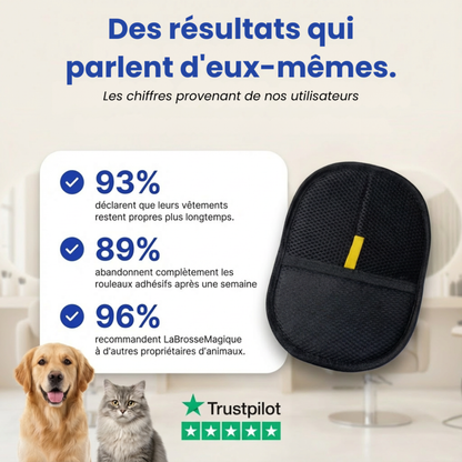 Wiederverwendbarer Fusselentferner für Sofas und Kleidung