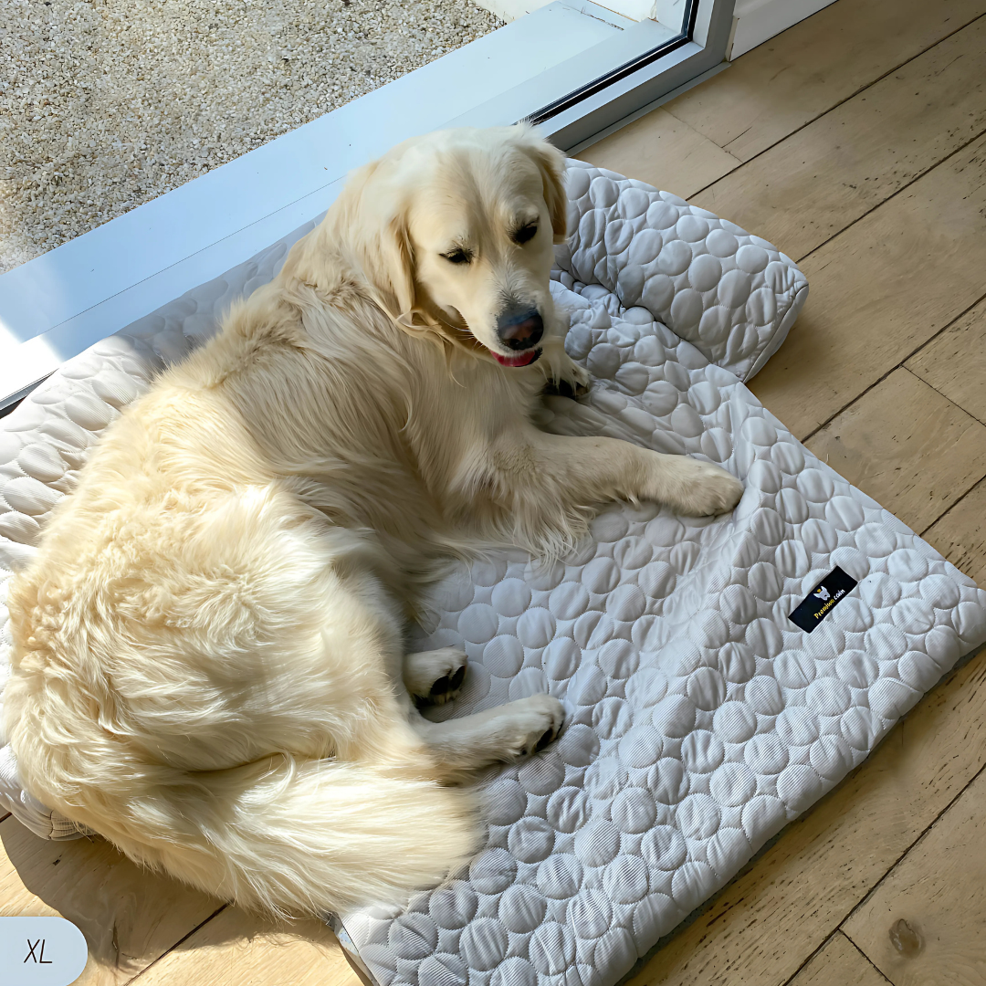 Tapis rafraîchissant pour animaux