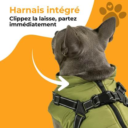 Wasserdichter Hundemantel mit integriertem Geschirr