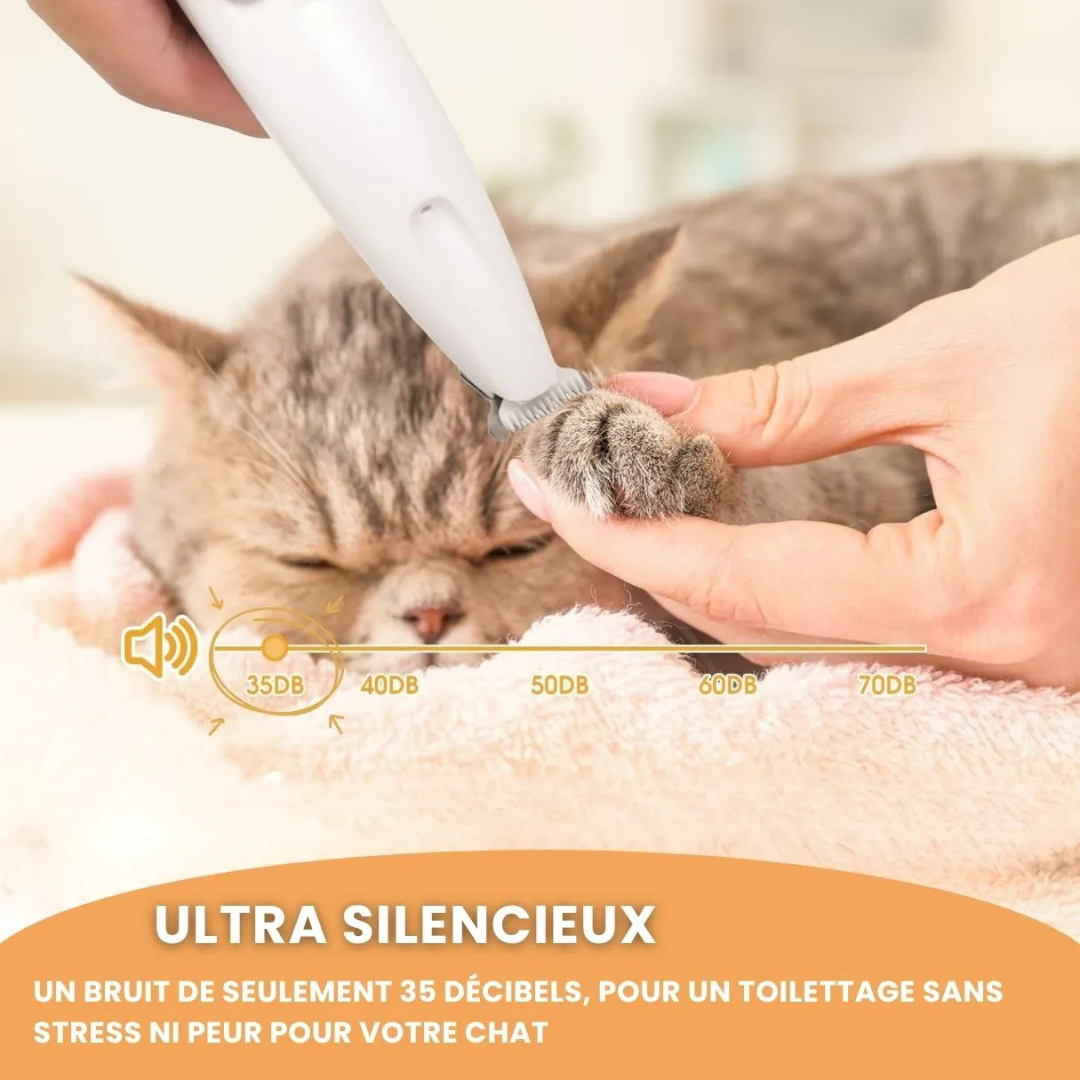 Tondeuse de précision pour chat