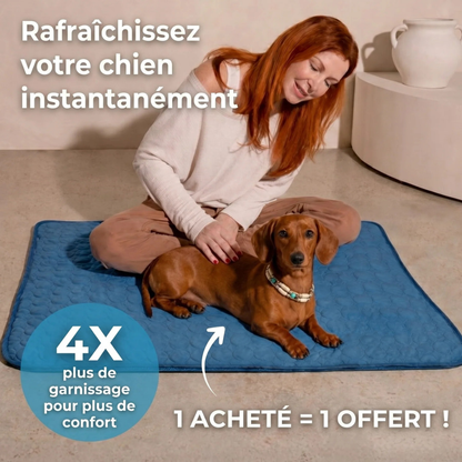 Tapis Rafraîchissant Chien Anti-Chaleur