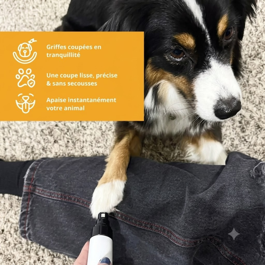 Leise elektrische Krallenfeile für Hunde und Katzen