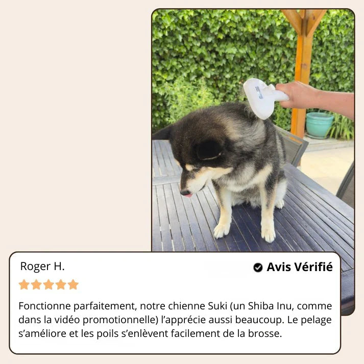 Brosse Vapeur Douce pour Chiens & Chats