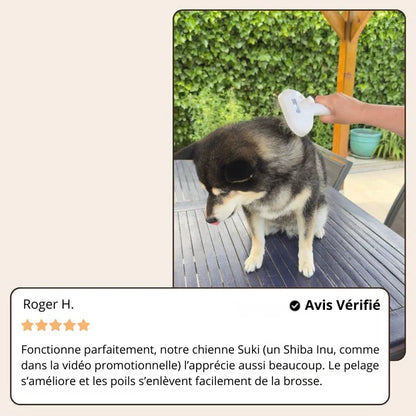 Brosse Vapeur Douce pour Chiens & Chats