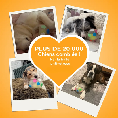 Jouet Résistant pour Chiens