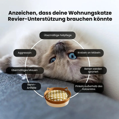 Katzenkorb aus Naturfasern