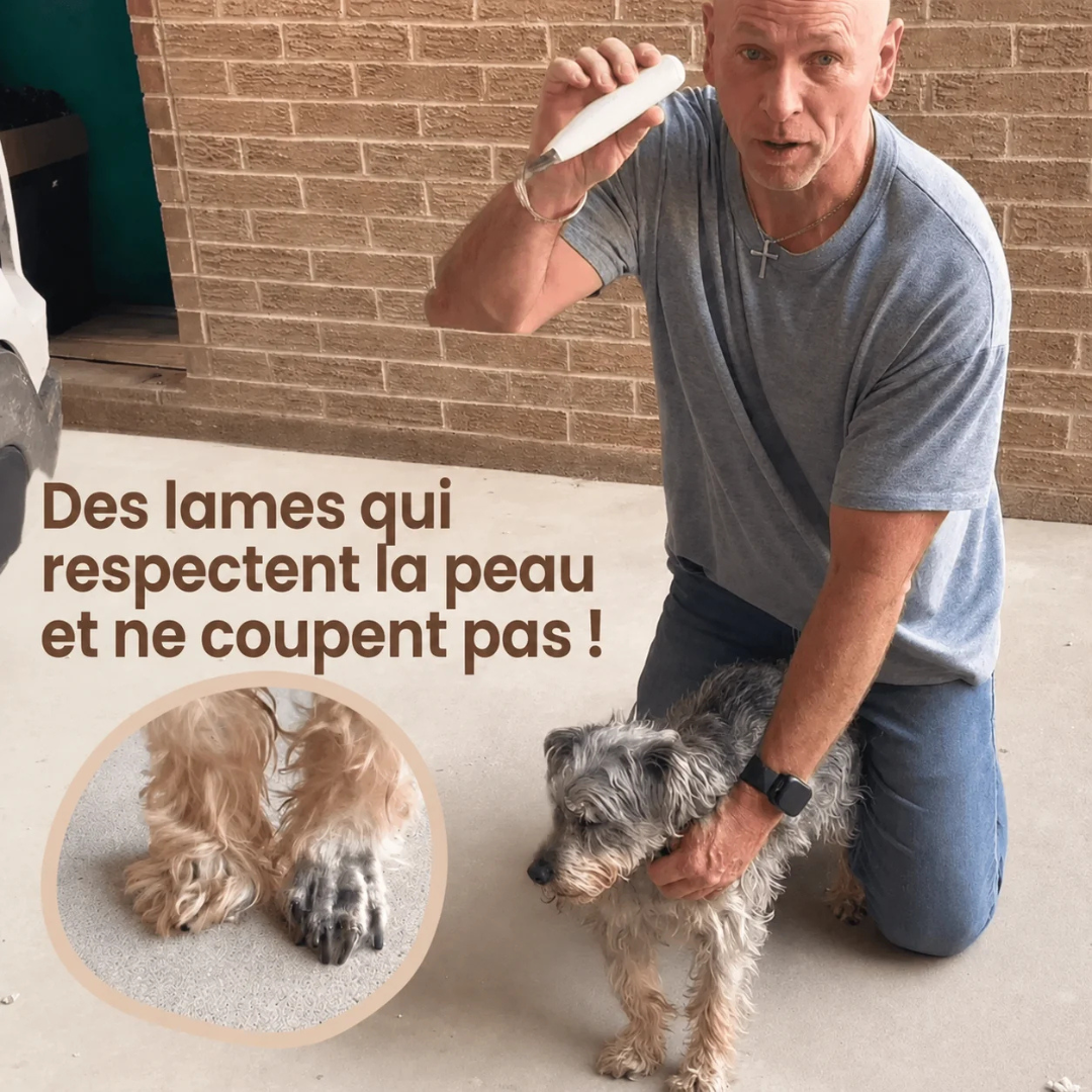 Tondeuse silencieuse pour soin des pattes