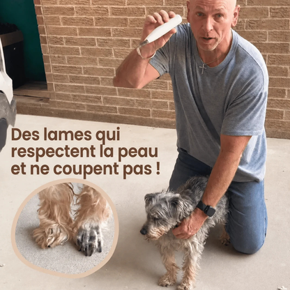 Tondeuse silencieuse pour soin des pattes
