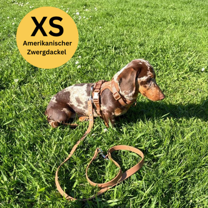 Harnais anti-traction avec laisse pour chien