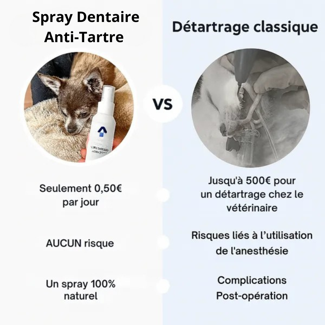 Spray Dentaire Anti-Tartre pour Chiens