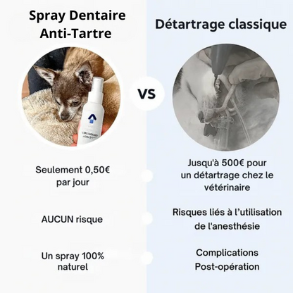 Spray Dentaire Anti-Tartre pour Chiens