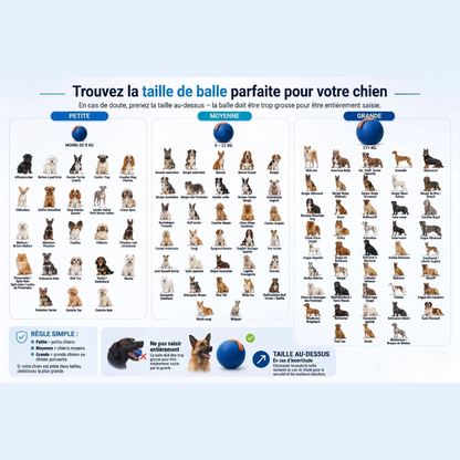 Balle interactive pour chien résistante