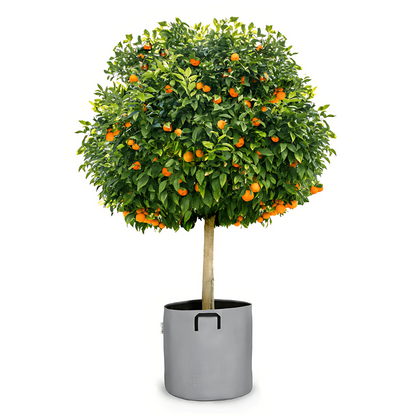 Pot auto-arrosant évolutif