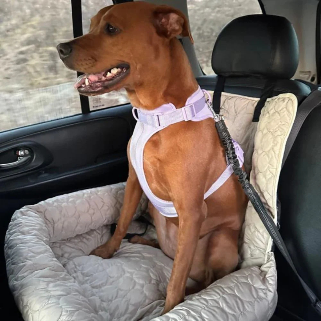 Kühlender Autositz für Hunde