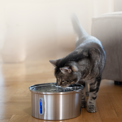 Fontaine Premium Sans Fil pour Chats