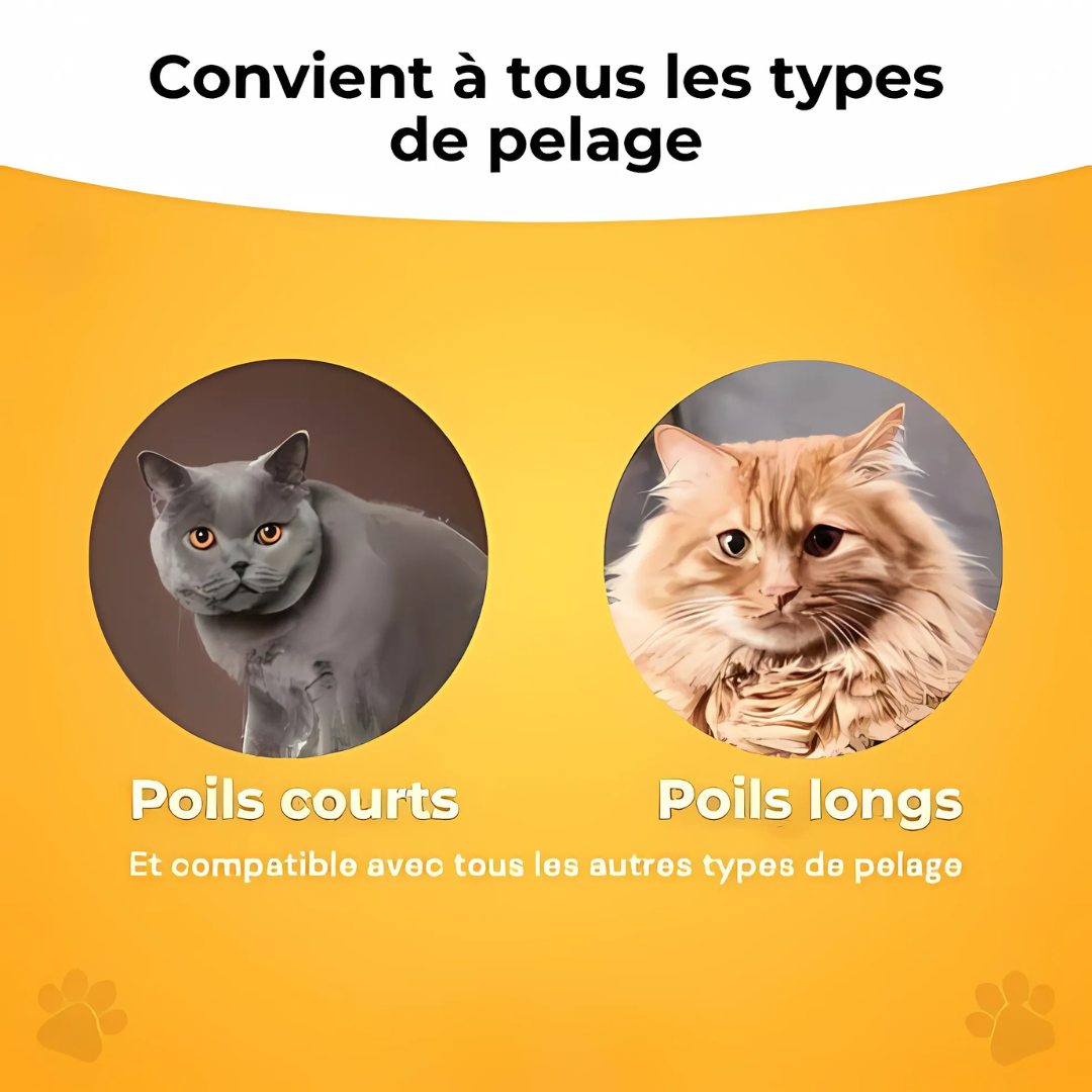 Brosse anti-poils pour animaux
