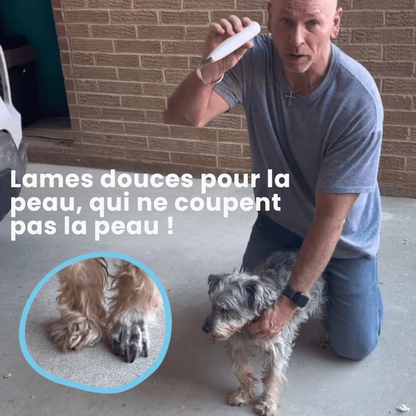 Outil électronique de soin pour pattes de chien