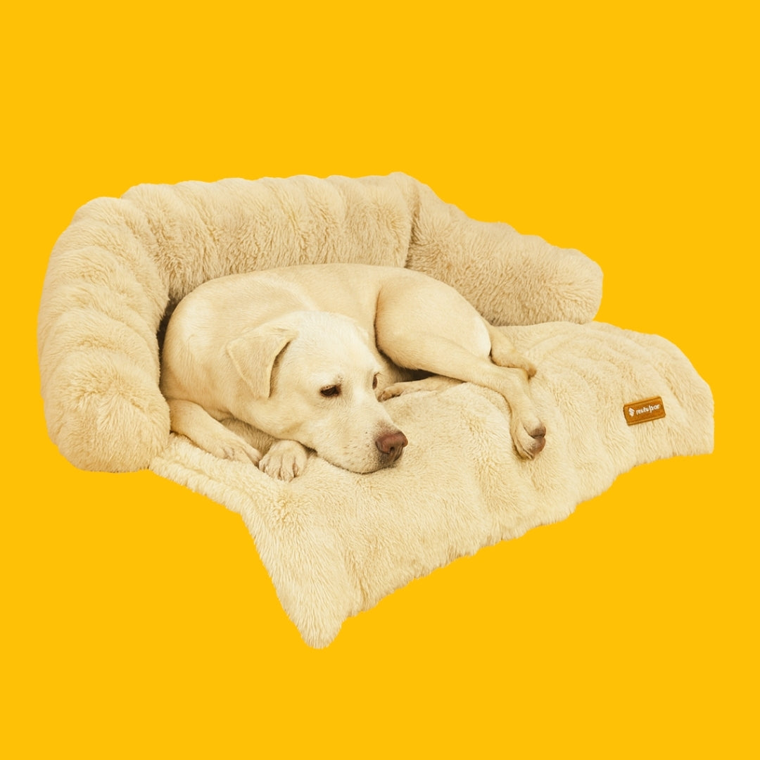 Canapé-lit doux et confortable pour chien