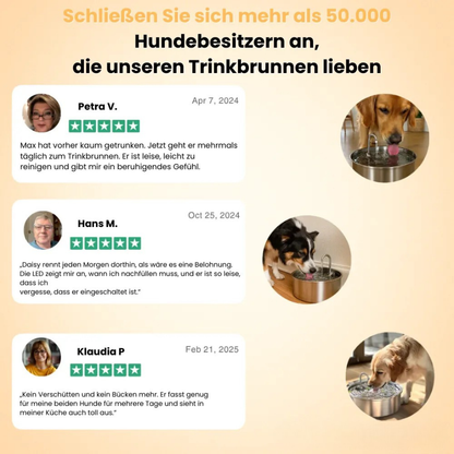 Trinkbrunnen für Hunde aus Edelstahl
