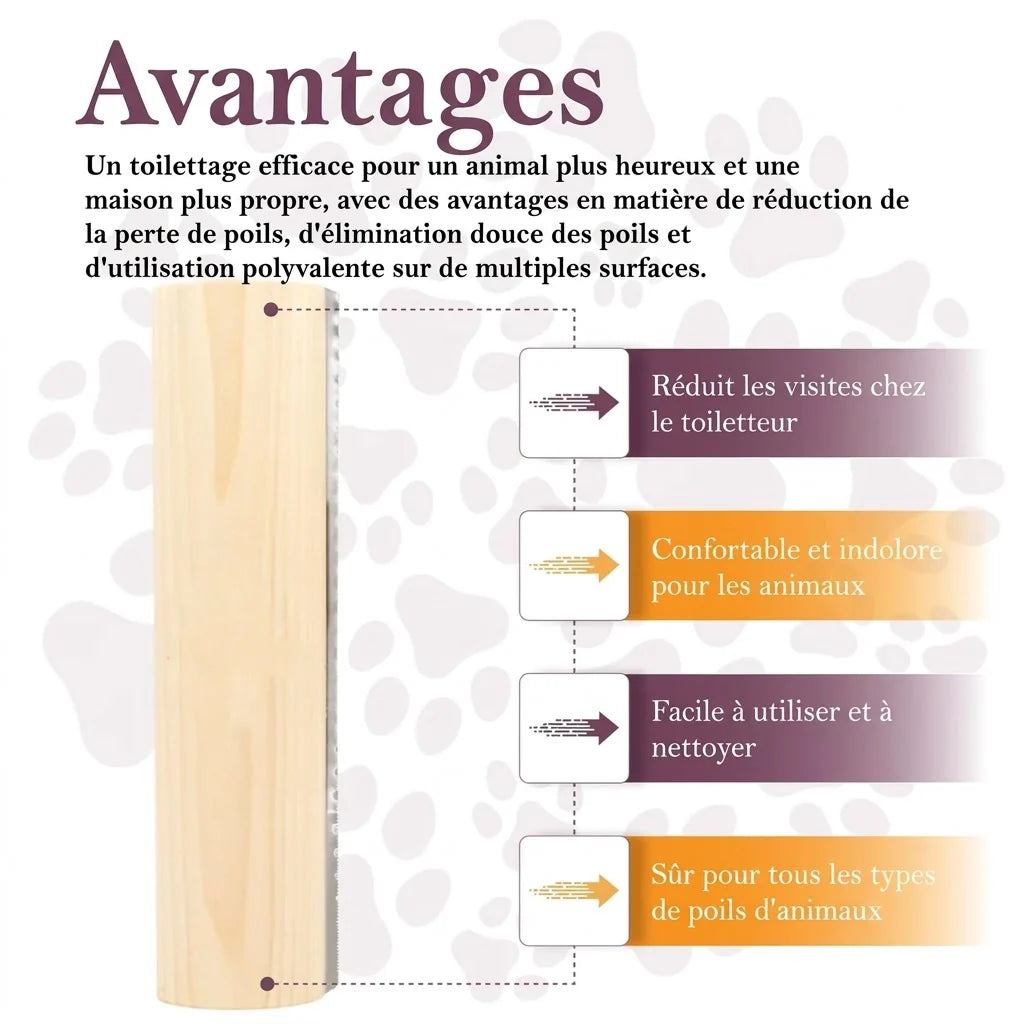 Brosse pour animaux