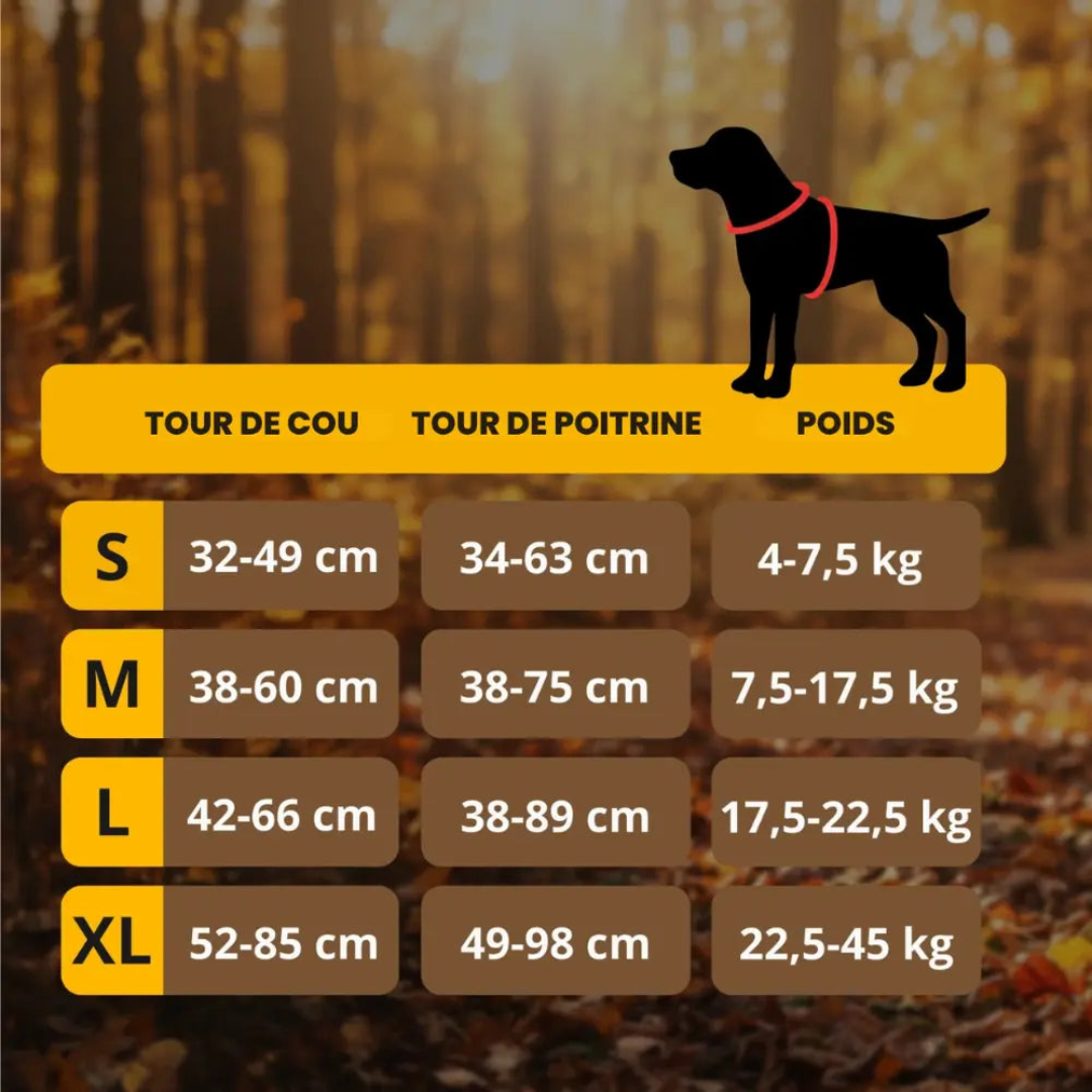 Komfortabler Anti-Zug-Gurt für Hunde