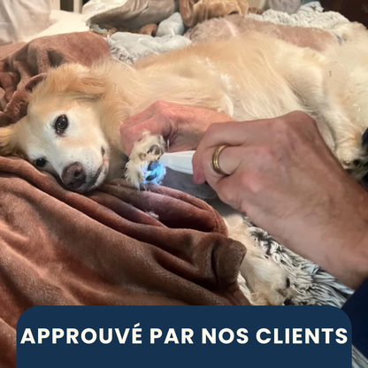 Outil électronique de soin pour pattes de chien