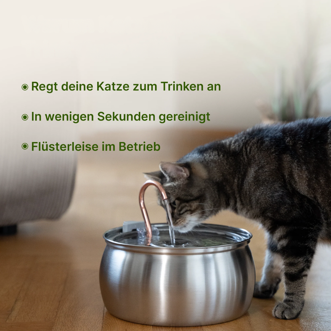 Edelstah-Katzenbrunnen