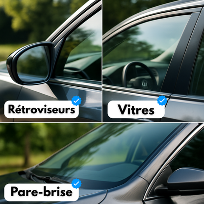 Windschutzscheibenreiniger